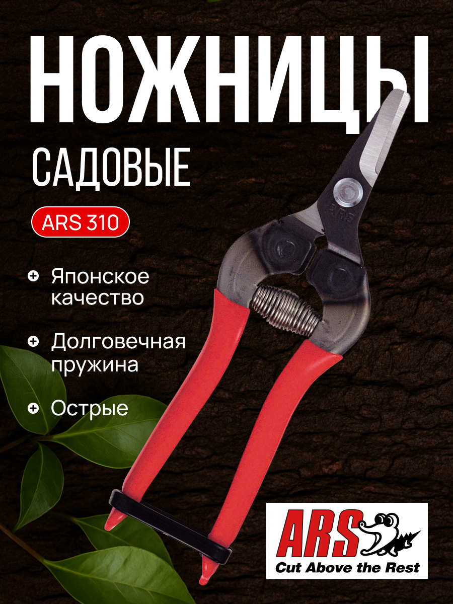 ARS 310