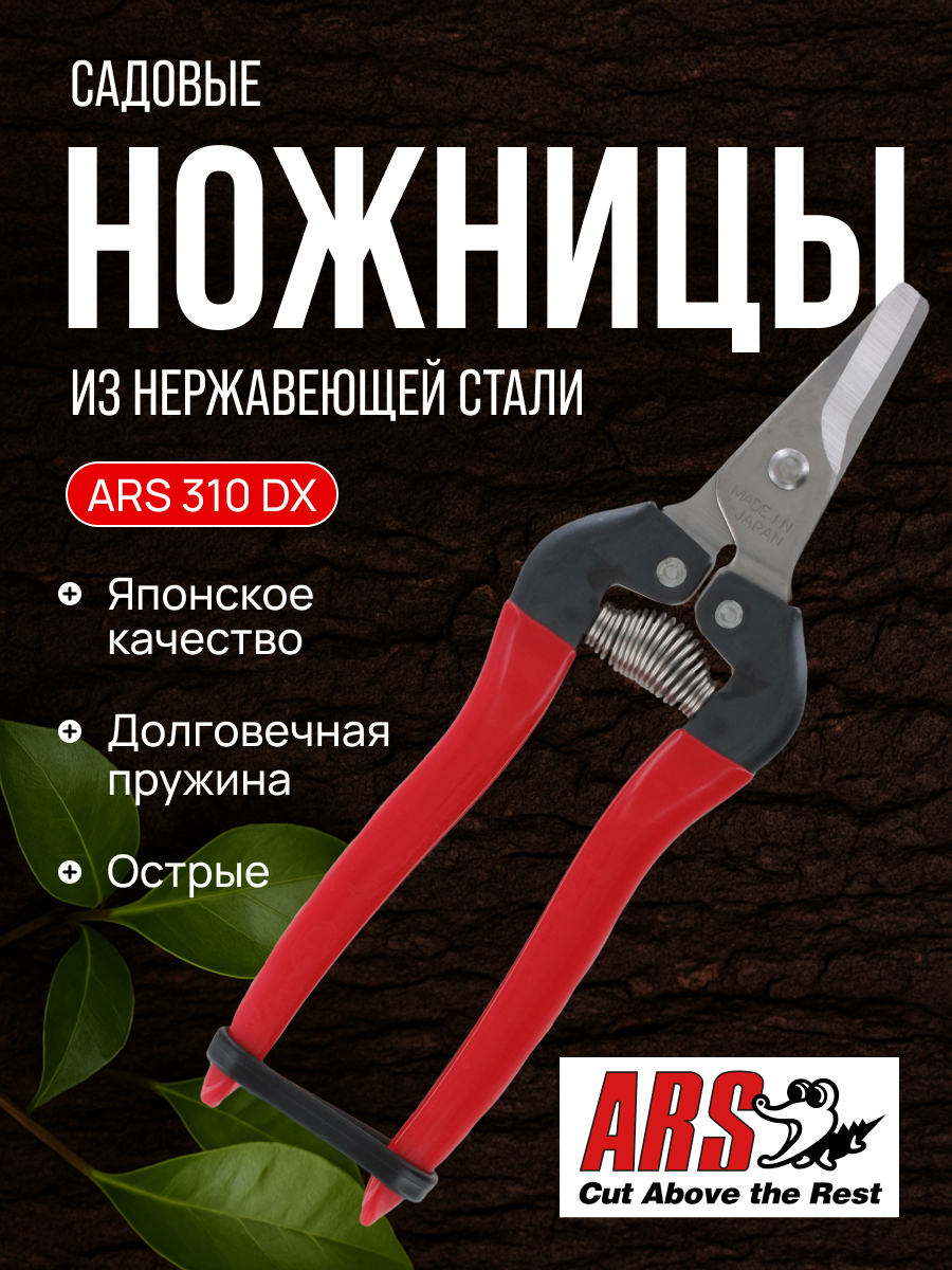 ARS 310DX