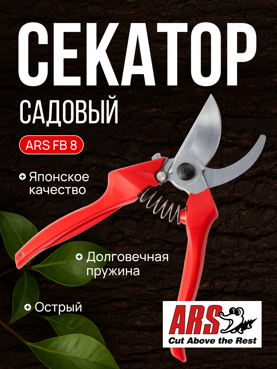 ARS FB-8