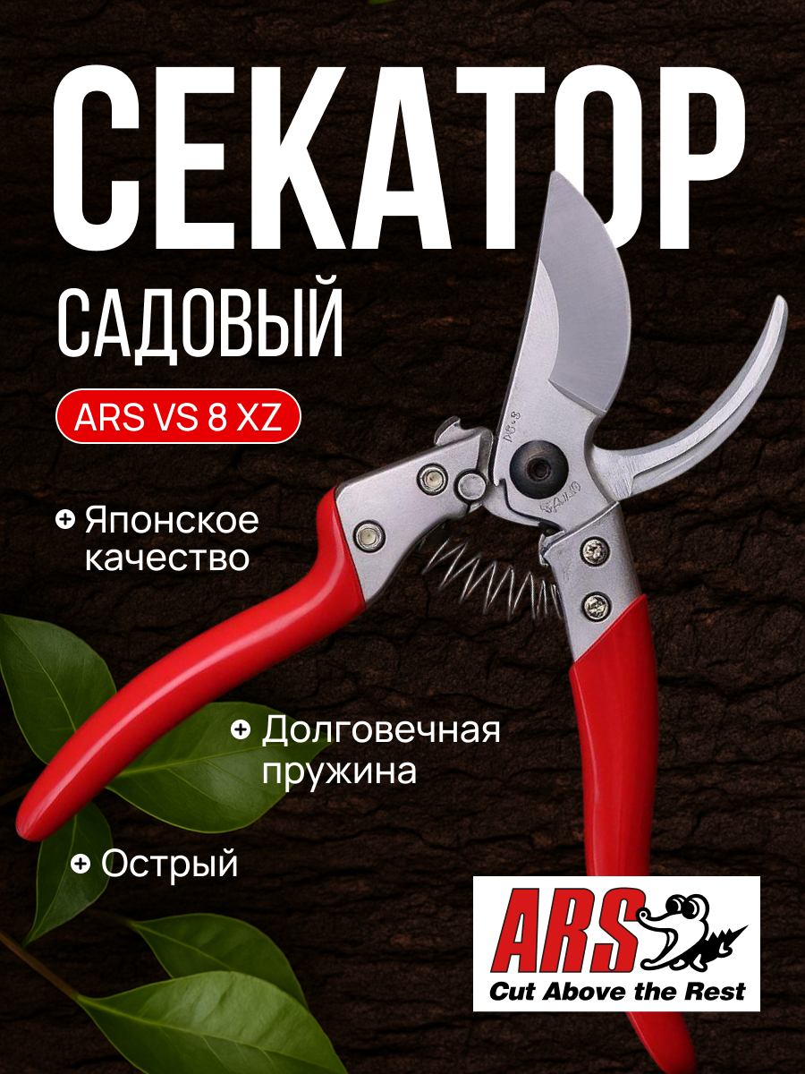 ARS VS-8XZ